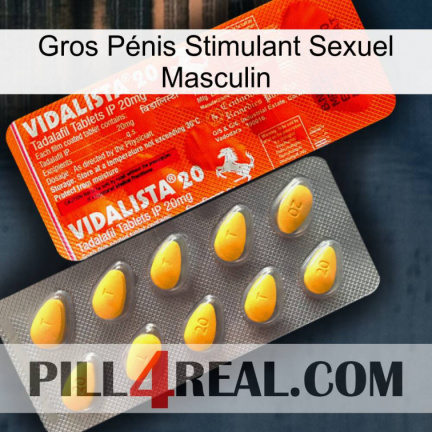 Gros Pénis Stimulant Sexuel Masculin new01